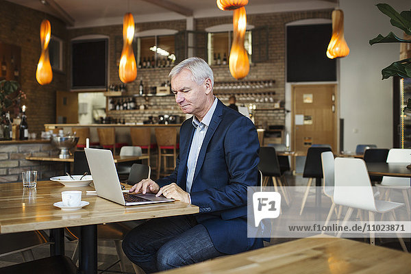 Concentrated businessman using laptop at table in restaurant