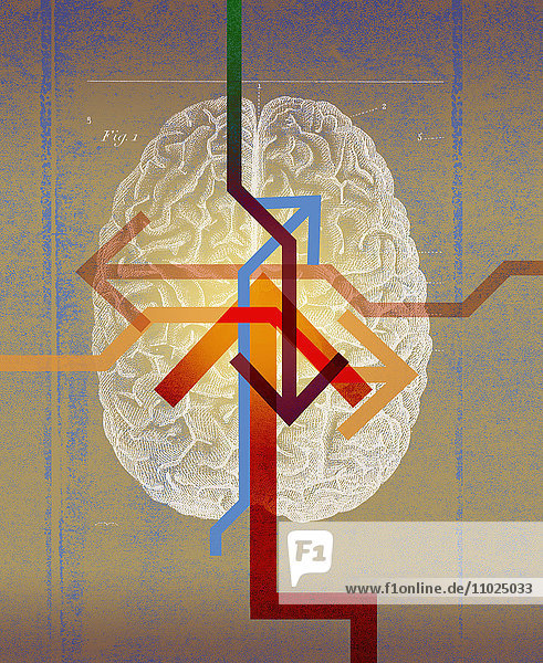 Pfeile zeigen in verschiedene Richtungen über einem Gehirn