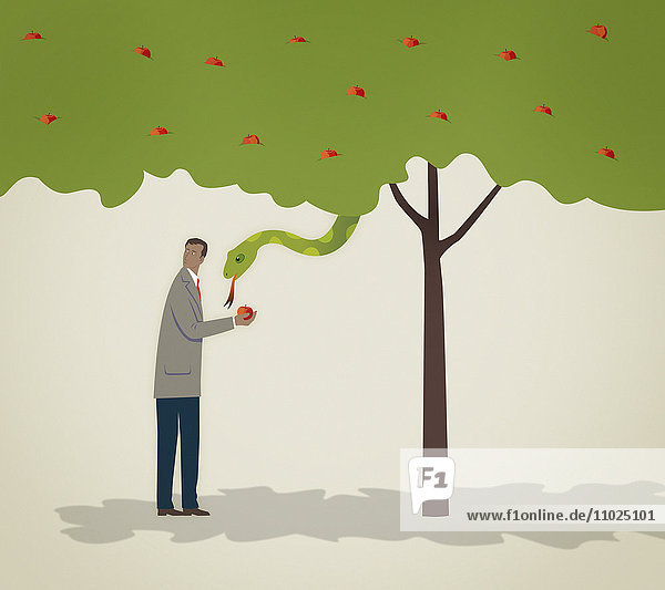 Schlange im Baum schaut auf verstohlenen Geschäftsmann  der einen Apfel nimmt