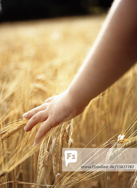A child walking in a field.