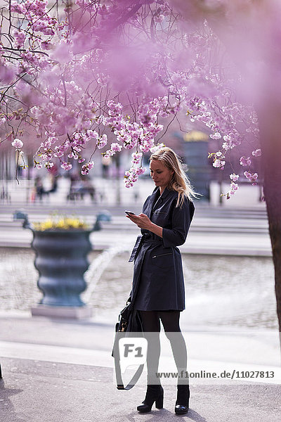 Junge Frau mit Mobiltelefon in der Nähe von Kirschblütenbäumen