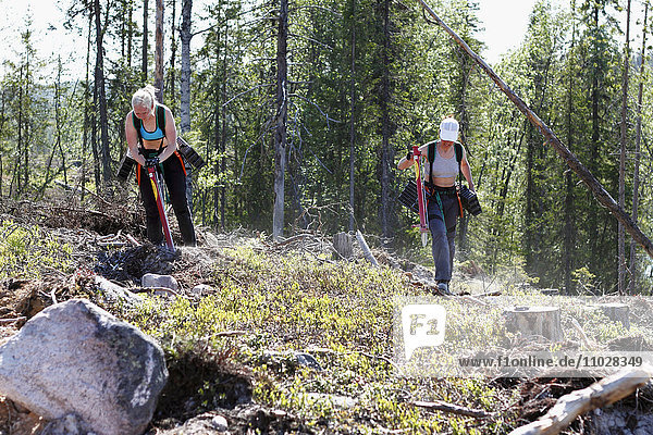 Women planting trees in forest