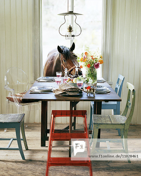 Ein Pferd neben einem gedeckten Tisch.