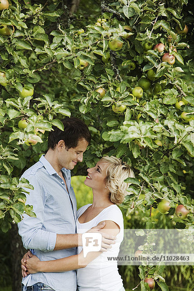 Paar in Umarmung bei einem Apfelbaum