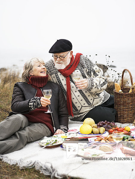 Ein altes Paar beim Picknick.
