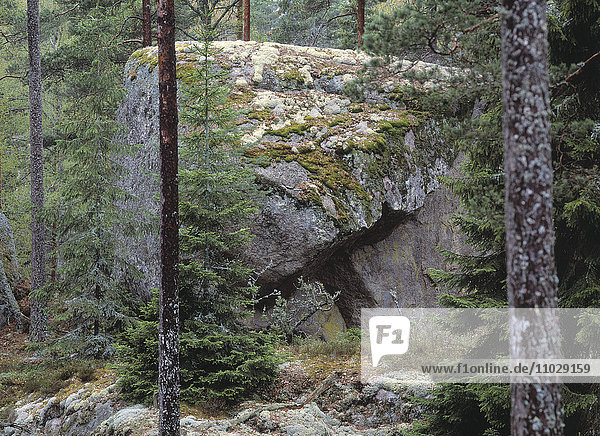 Großer Stein im Wald