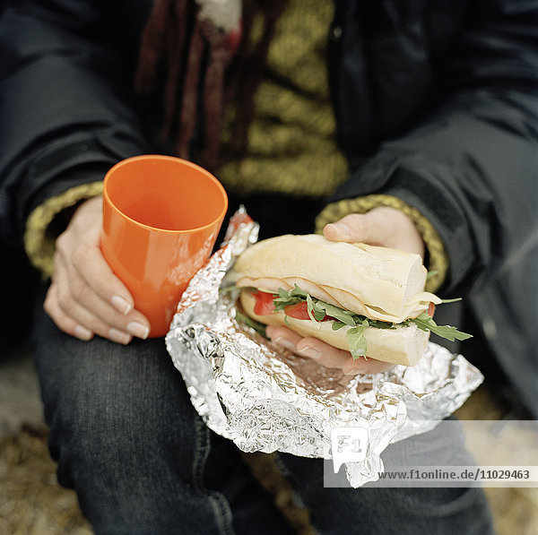 Ein Picknick-Sandwich.