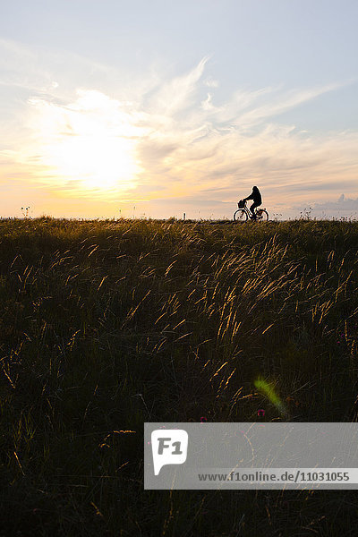 A man riding a bike at sundown
