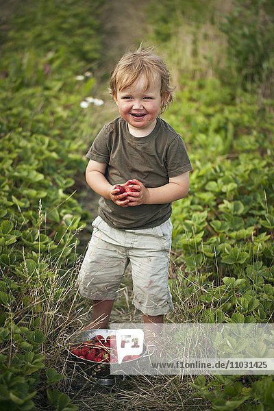 Junge stehend mit Schüssel voller Erdbeeren