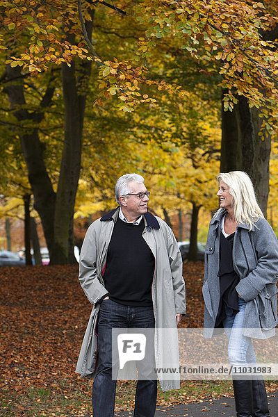 Senior couple walking through park  Gothenburg  Sweden