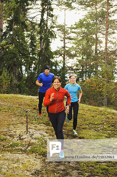 Three athletes jogging through forest