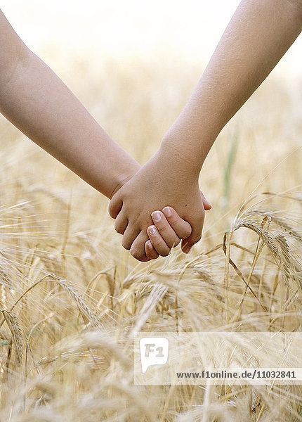 Zwei Kinder halten sich in einem Maisfeld an den Händen.