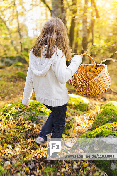 Girl walking through autumn forest  picking mushrooms