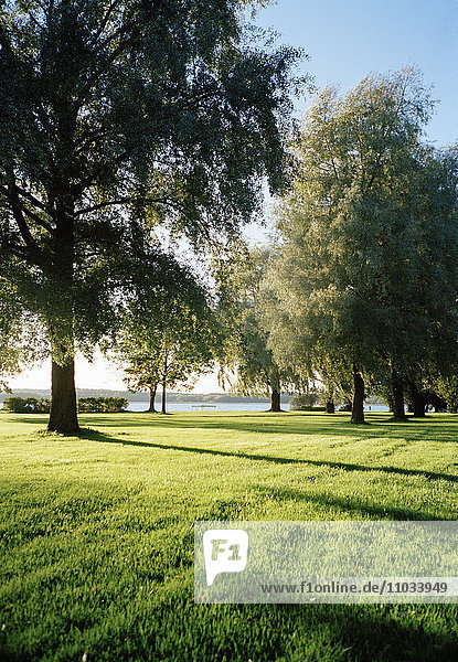 Ein Park  Ekenas  Finnland.