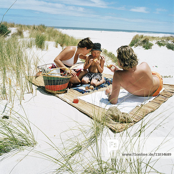 Family having a snack on the beach,  Sweden.