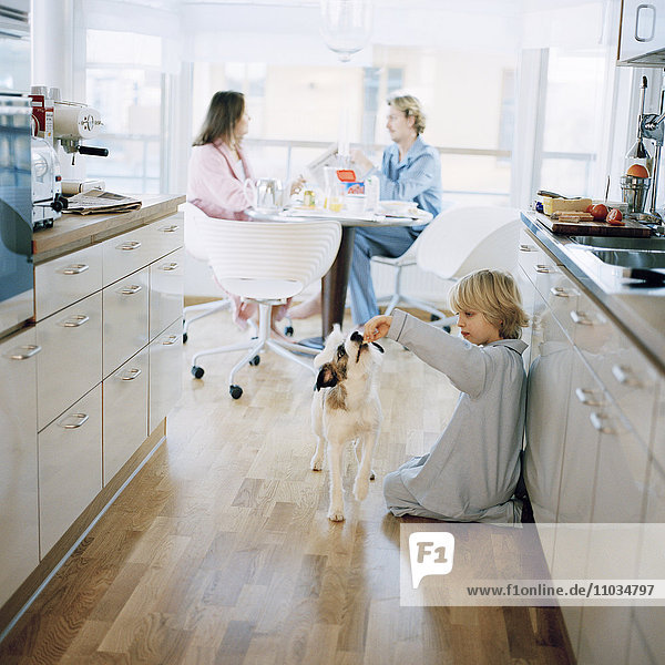 Junge spielt mit Hund  Eltern sitzen dahinter und frühstücken  Hammarby Sjostad  Schweden.