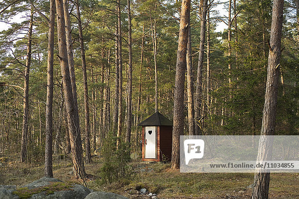 An outhouse in the forest  Sweden.