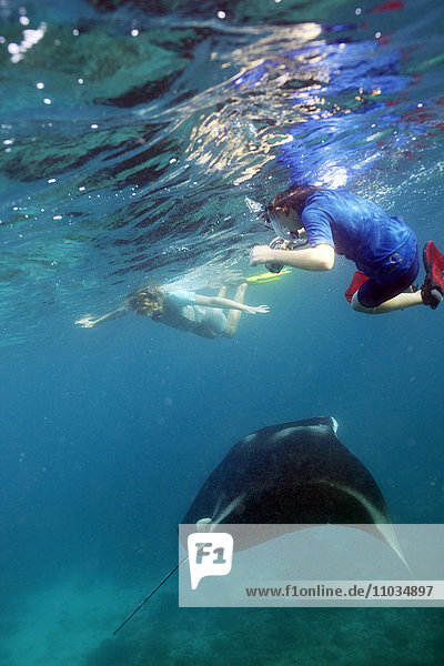 A woman and a young boy swiming with a Manta ray