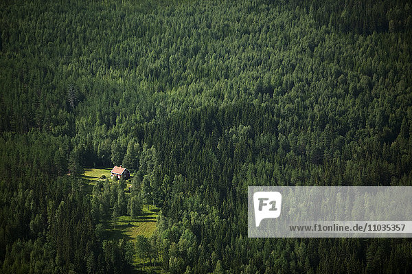 Ein Haus in einer Waldlandschaft  Varmland  Schweden.