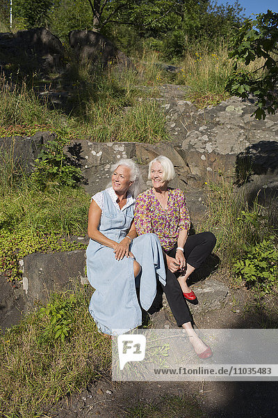 Zwei reife Freunde sitzen auf einem Stein