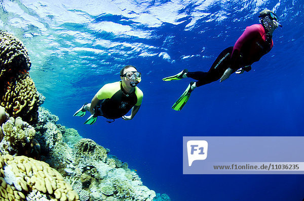 Two people snorkling Egypt.