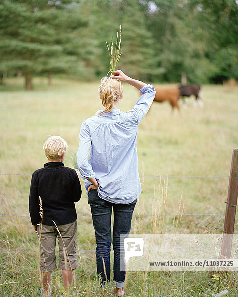 Mutter und Kind besuchen eine Pferdekoppel  Schweden.