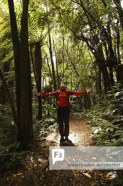 Eine Frau geht in einem Wald spazieren  Neuseeland.