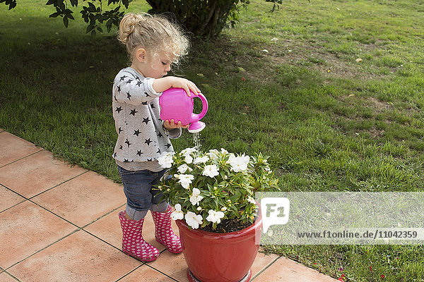 Kleines Mädchen beim Gießen von Topfpflanzen