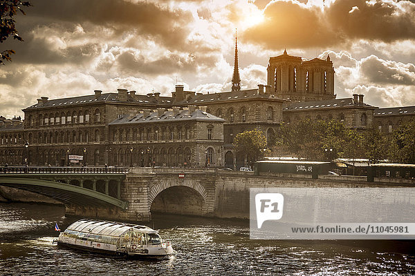 Gebäude und Brücke über den Fluss in Paris  Ile-de-France  Frankreich