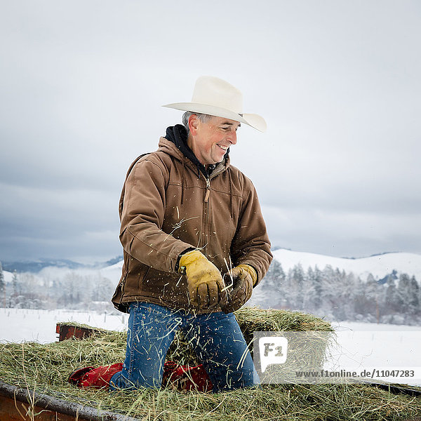 Caucasian farmer kneeling in hay