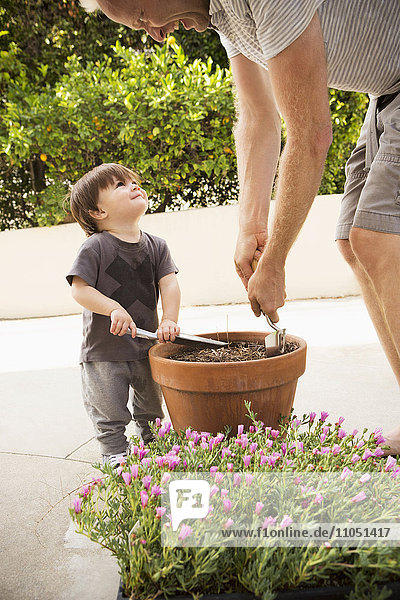 Father and son preparing potted plant