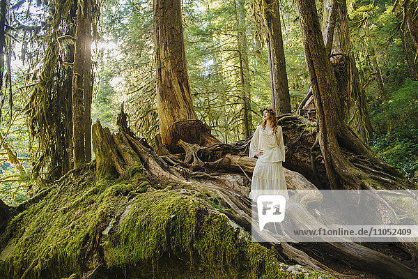 Kaukasische Frau steht auf einer Wurzel im Wald