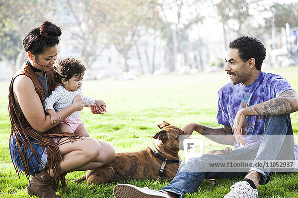 Parents playing with baby son and dog in park