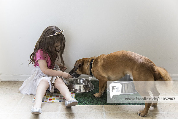 Kaukasisches Mädchen füttert Hund auf dem Boden