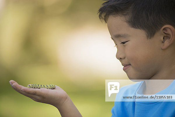 Ein Junge  der einen Gecko oder eine Eidechse auf der Hand hält.