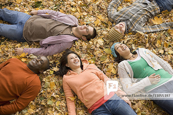 A group of men and women lying on their backs among the autumn leaves.