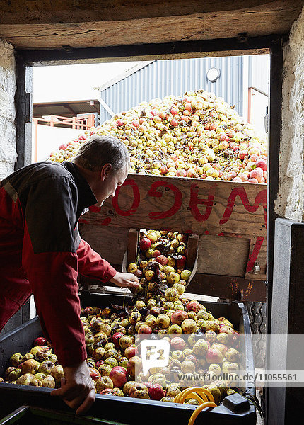 Ein Familienbetrieb  der Apfelwein herstellt.