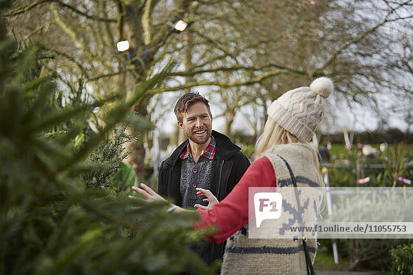 A man and woman discussing and choosing a traditional pine tree  Christmas tree.