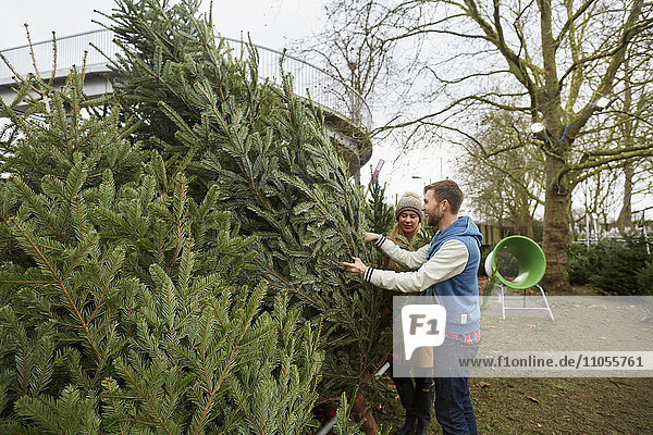 A woman in a garden centre choosing a traditional pine tree  Christmas tree.