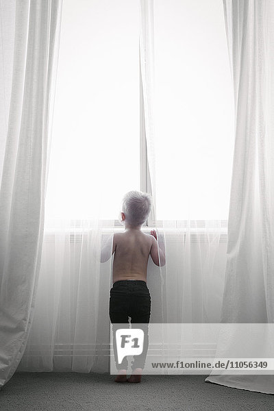 Ein Kind steht an einem Fenster und schaut durch die Gardinen nach draußen. Ansicht von hinten.