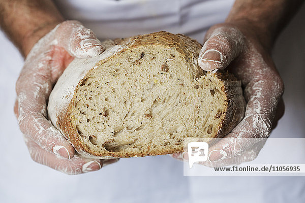 Bäcker hält einen frisch gebackenen Laib Brot in der Hand.