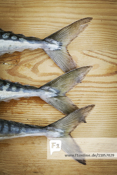 Close up of three fresh Mackerel lying on a chopping board  detail of tail.