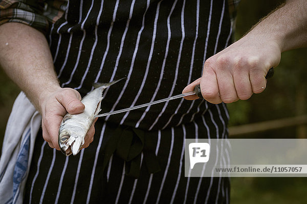Close up of a chef filleting a fresh fish.