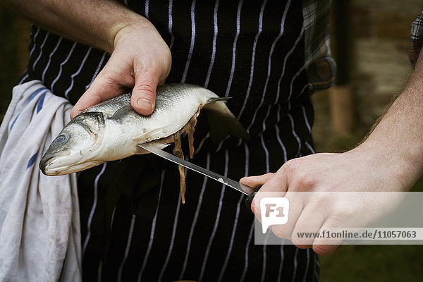 Nahaufnahme eines Küchenchefs beim Filetieren eines frischen Fisches.