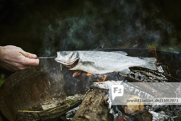 Chef grilling a whole fish on a barbecue.