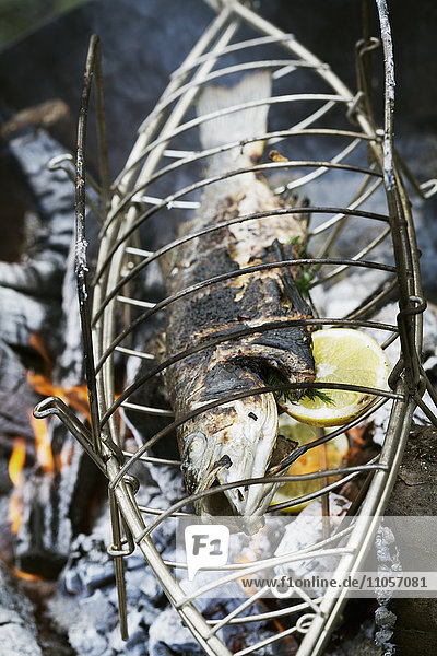 Fish in a fish grill basket over a barbecue.