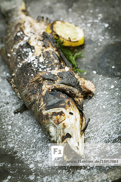 High angle view of a grilled fish with lemon and herbs.
