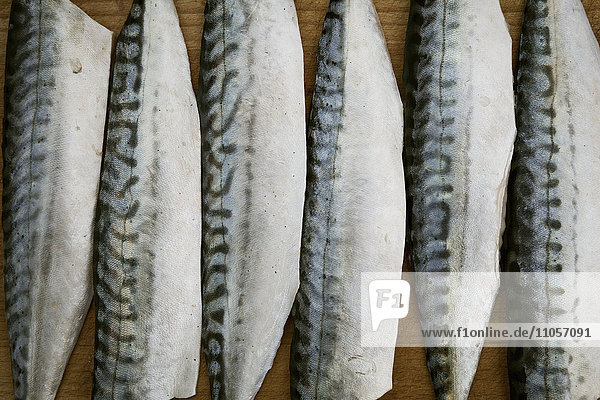 Close up of fresh Mackerel fillets.