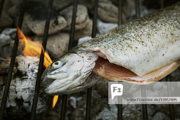 High angle view of a grilled fish on a barbecue.