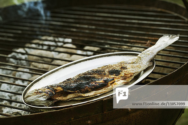 Whole grilled fish on a metal plate standing on a barbecue.